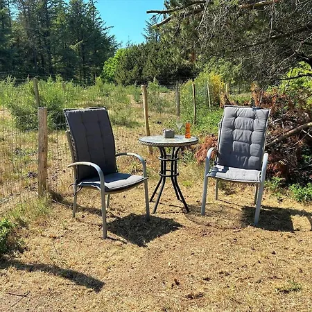 40893-ulfborg-skindbjergvej-393 *