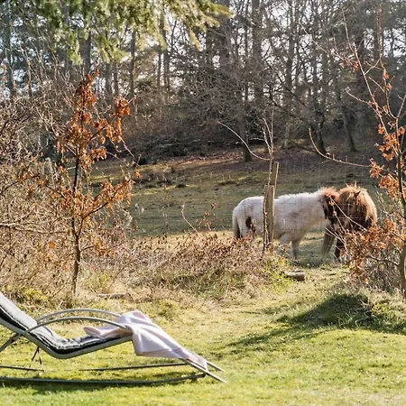 Tatil Evi 40893-ulfborg-skindbjergvej-393 Ulfborg
